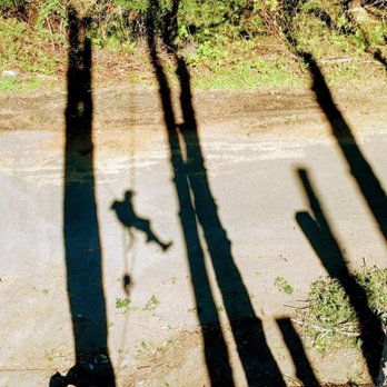 Tree Tactics - the shadow of a person on a skateboard - Tree Services Near Me Tree Tactics - the shadow of a person on a skateboard - Tree Services Near Me