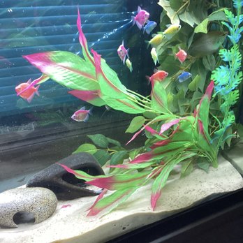 Sea Cave - Pet Stores Near Me - Erie, Pennsylvania