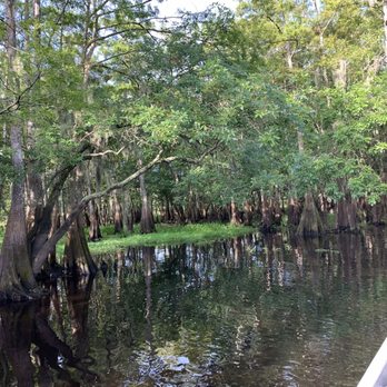 Backwoods Airboat Adventures - Boat Tours Near Me - Christmas, Florida Backwoods Airboat Adventures - Boat Tours Near Me - Christmas, Florida