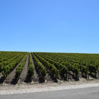 Chateau Lafite Rothschild - Wineries Near Me - Pauillac, 33