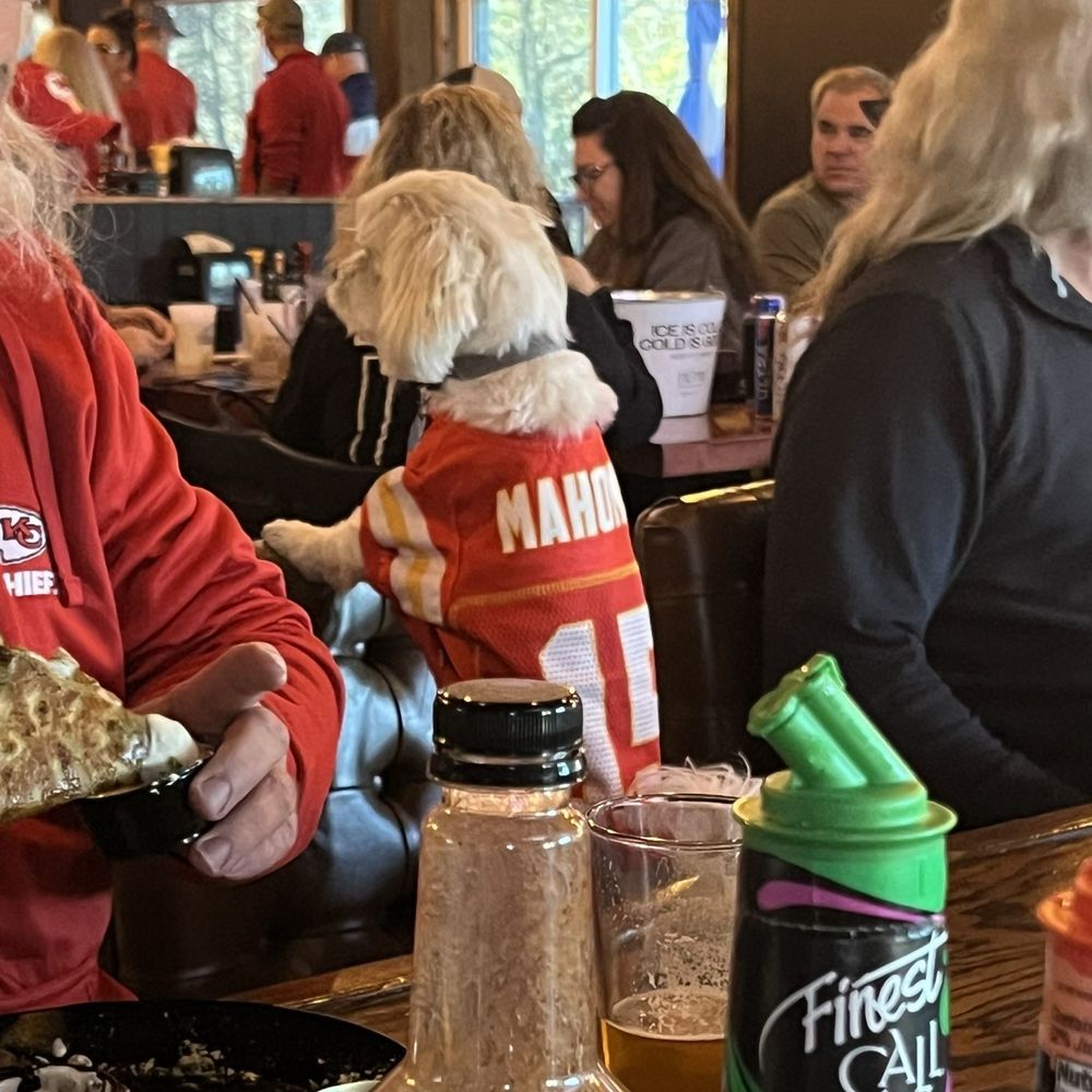 Another chiefs fan Another chiefs fan