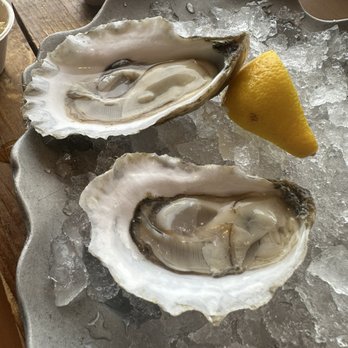 Coastal Orange Beach - The best oysters I've eaten in a few years and certainly the best I ate on our week in orange beach. Don't go to Zeke's just go here.. - Seafood Near Me - Orange Beach, Alabama Coastal Orange Beach - The best oysters I've eaten in a few years and certainly the best I ate on our week in orange beach. Don't go to Zeke's just go here.. - Seafood Near Me - Orange Beach, Alabama