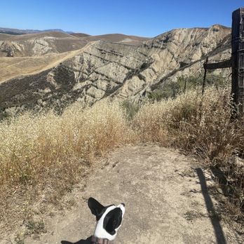 Del Valle Regional Park - Parks Near Me - Livermore, California