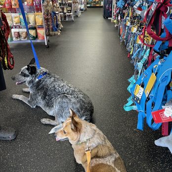 Give a Dog a Bone - Pet Stores Near Me - Evansville, Indiana Give a Dog a Bone - Pet Stores Near Me - Evansville, Indiana