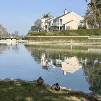 North Lake Park - North Lake Park - Parks Near Me - Irvine, California