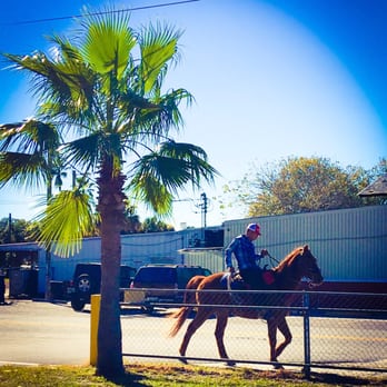 Sol Mexican Restaurante - Just a horse walking down the street #sundayfunday - Mexican Near Me - Wimauma, Florida