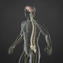 Photo of Healthpoint Chiropractic