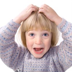 Nitty Gritty Lice Removal - Kids? No problem!