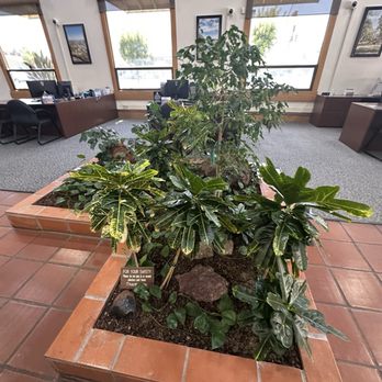 Sierra Central - Love plants - Banks & Credit Unions Near Me - Marysville, California