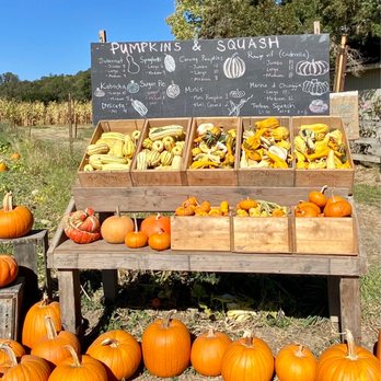 Foggy River Farm - 10.09.21 pumpkins and squash pricing - CSA Near Me - Healdsburg, California