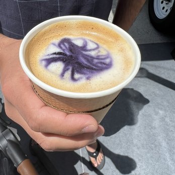 Cafe Terra Coffee Truck - a person holding a cup of coffee - Coffee & Tea Near Me Cafe Terra Coffee Truck - a person holding a cup of coffee - Coffee & Tea Near Me