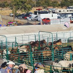 San Bernardino Sheriff’s Rodeo