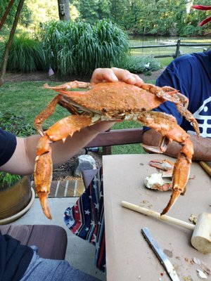 Ford's Seafood by null