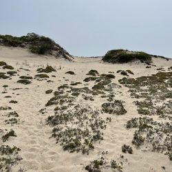 Napeague State Park - Sand dunes