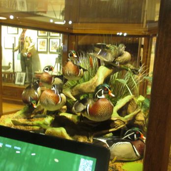 Bass Pro Shop - Guns & Ammo Near Me - Memphis, Tennessee