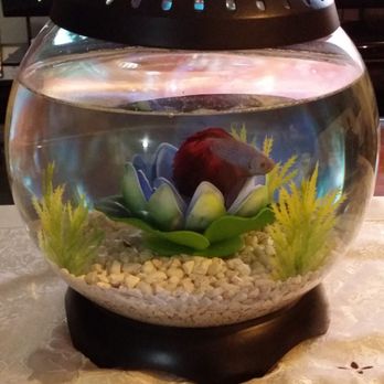 Petco - Pet Stores Near Me - Pearl City, Hawaii