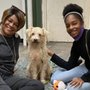 Photo of Prestonwood Kennels Pet Resort