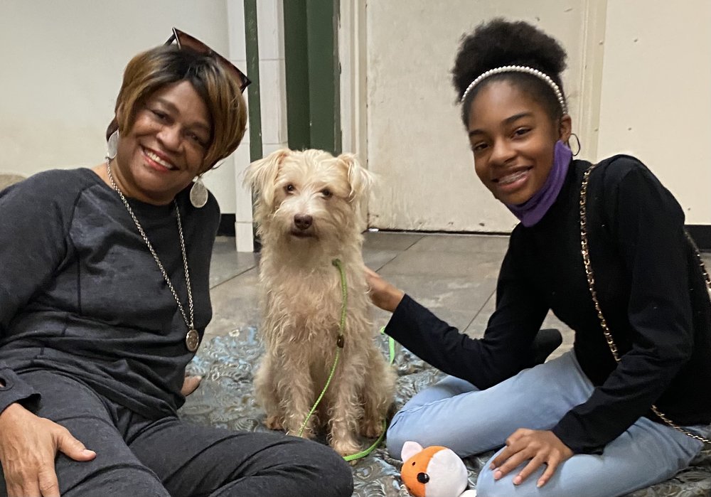 Prestonwood Kennels Pet Resort - pet boarding facility in Houston, TX