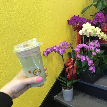 Happy Lemon - Juice Bars & Smoothies Near Me - Alameda, California Happy Lemon - Juice Bars & Smoothies Near Me - Alameda, California