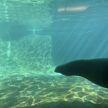 Ocean World - Aquariums Near Me - Crescent City, California