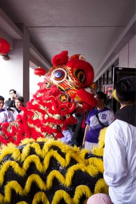 DFW China Town by null