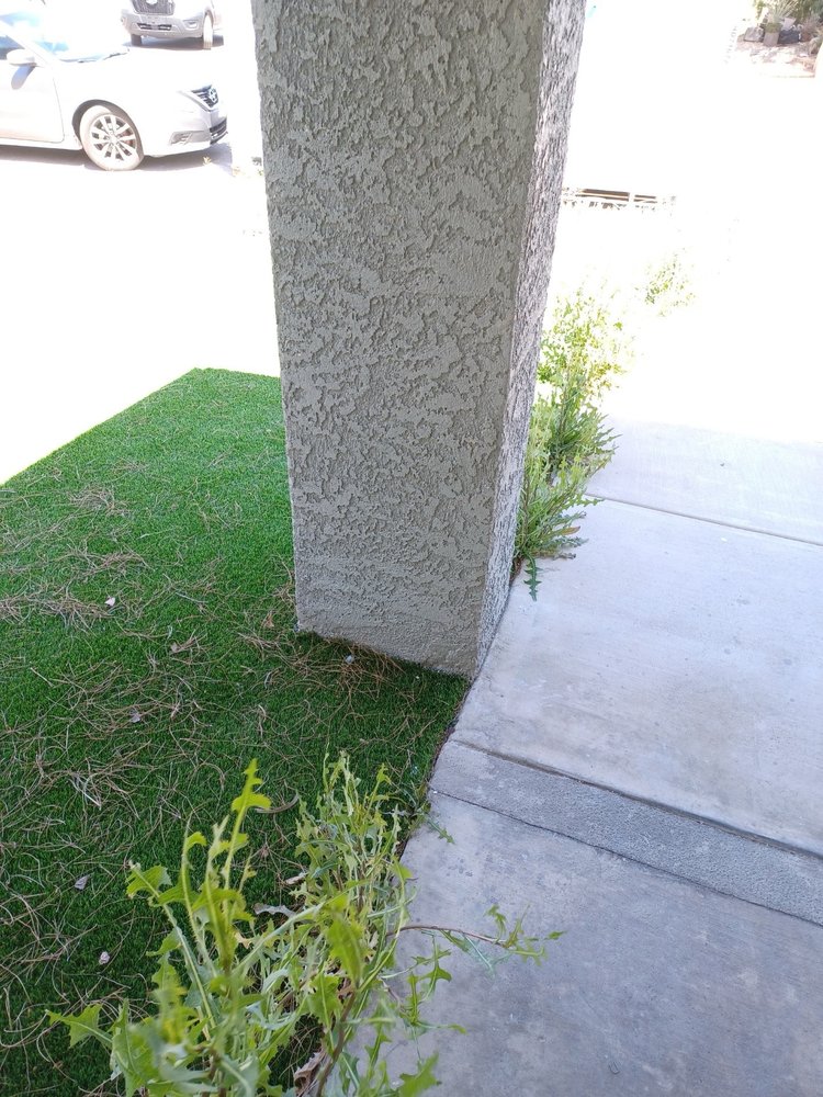 Slide of Mayans & Handyman