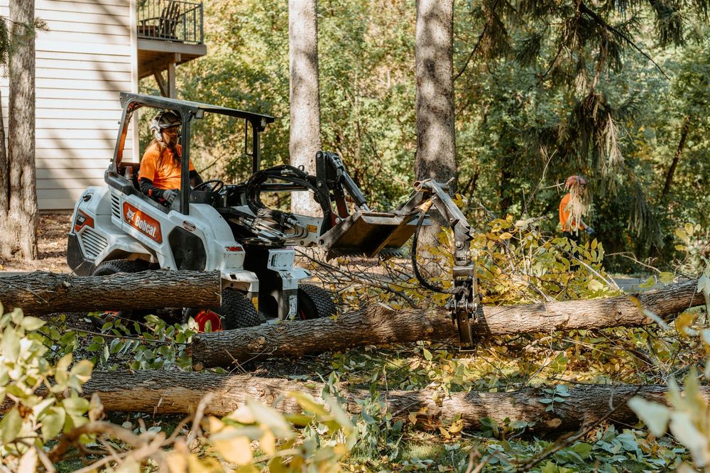 Alliance Tree Care - tree service in White Bear Lake, MN