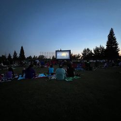 Peter Singer Park - Puss and boots movie night at the park