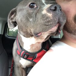 Stitch even told me how happy he was about his experience.