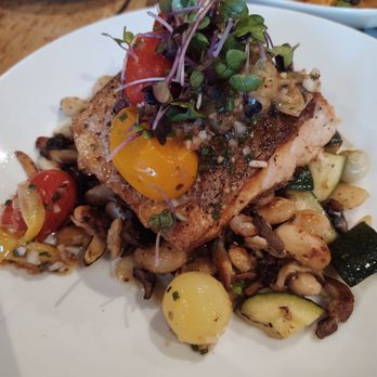 Piatti - King salmon - Italian Near Me - Sacramento, California Piatti - King salmon - Italian Near Me - Sacramento, California