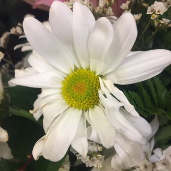 Blooms And Grooms - Florists Near Me - Elko, Nevada