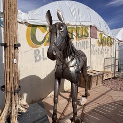 Cactus Joe's Blue Diamond Nursery - Welcome to Cactus Joe's