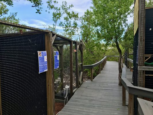 Wild Bird Sanctuary - Florida Keys Wild Bird Center by null