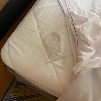 Days Inn by Wyndham Salisbury - Stained mattresses - Hotels Near Me - Salisbury, Maryland Days Inn by Wyndham Salisbury - Stained mattresses - Hotels Near Me - Salisbury, Maryland