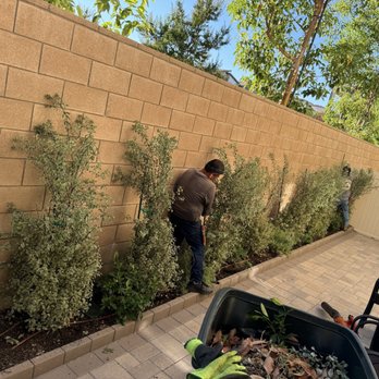 Joel Alba's Garden Services - Tree Services Near Me Joel Alba's Garden Services - Tree Services Near Me