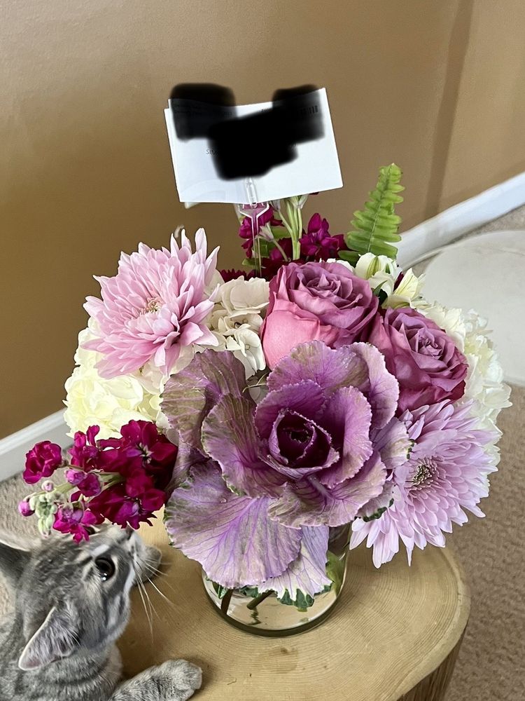 PETALS & CO Updated August 2024 121 Photos & 32 Reviews 1451