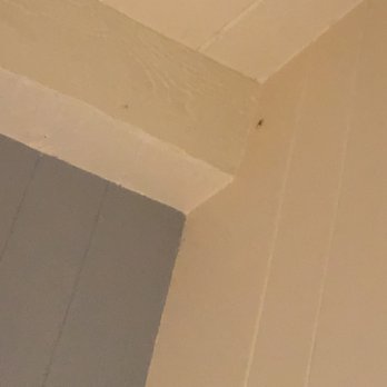 Big Sur Lodge - spiders in room (this was the smallest one) - Hotels Near Me - Big Sur, California