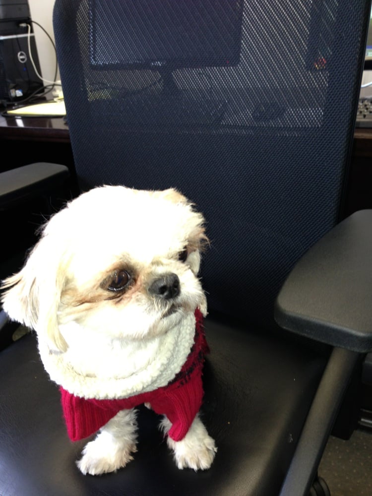 GROOMERIE Updated September 2024 137 Water St, Wakefield