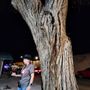 Photo of AbqTours