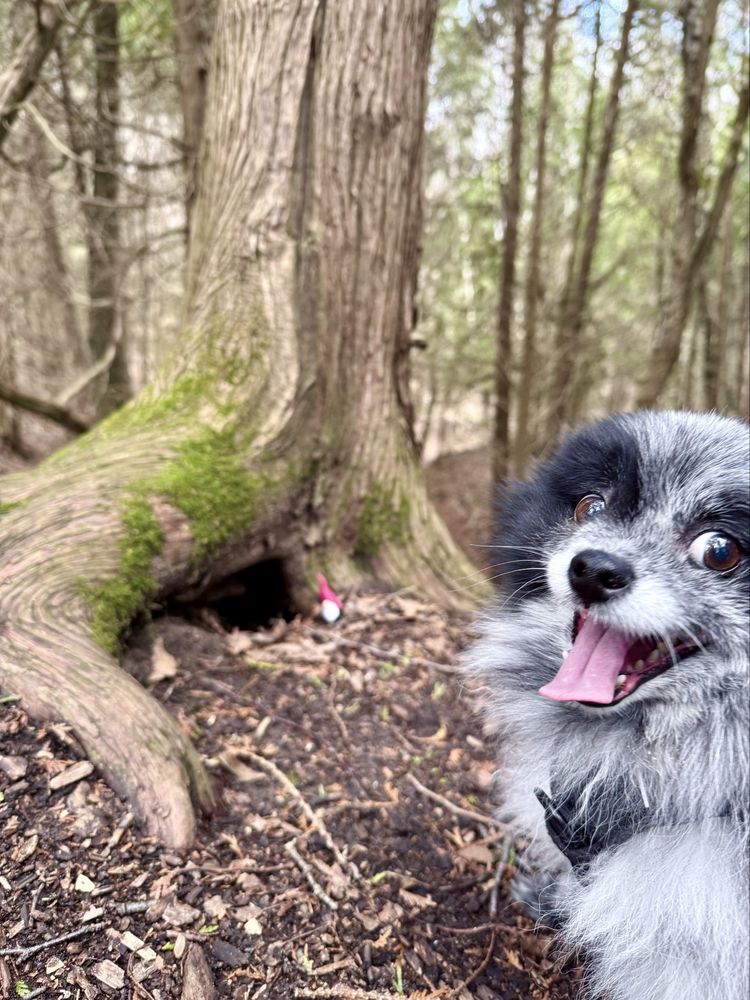 Lions Den Gorge Nature Preserve