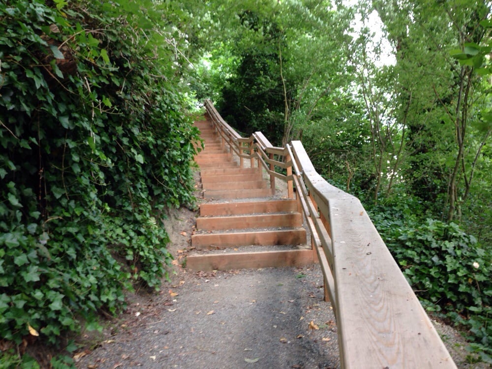 KINNEAR PARK OFFLEASH AREA Updated October 2024 12 Reviews 899 W