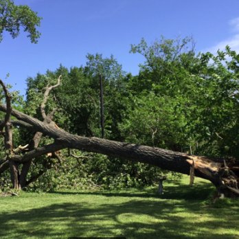 Southwest Tree Service - Tree Services Near Me - Euless, Texas Southwest Tree Service - Tree Services Near Me - Euless, Texas