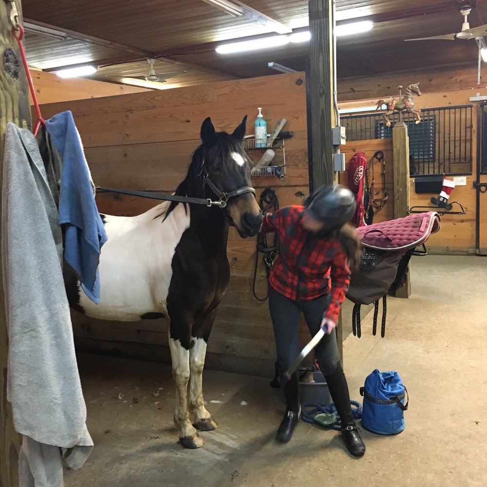 THE BEST 10 Horseback Riding near Hugo, MN Last Updated July 2021 Yelp