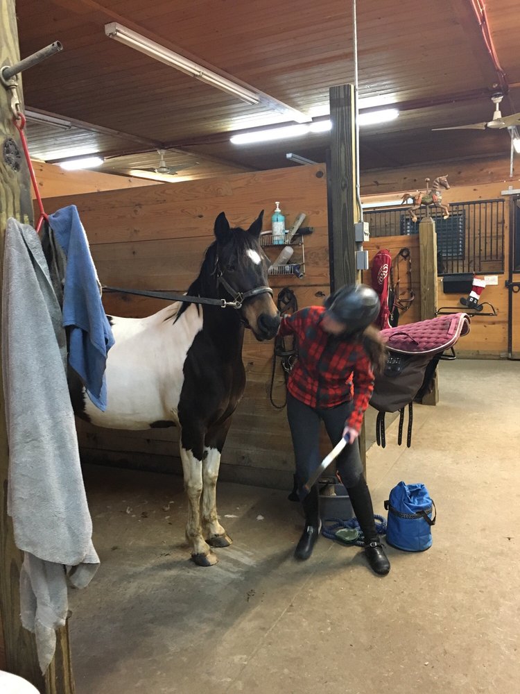 Square Lake Farm - equestrian in Stillwater, MN