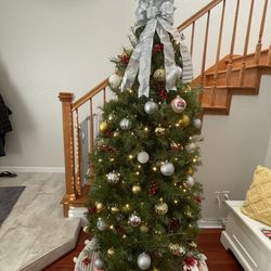 REAL Christmas Tree Delivery