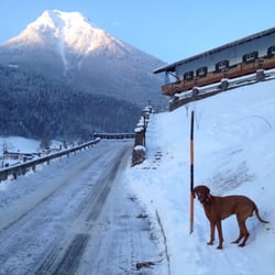 Best Western Berghotel Rehlegg - The road to the hotel