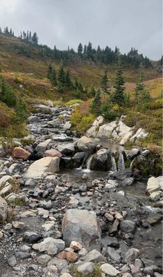 Mount Rainier by null