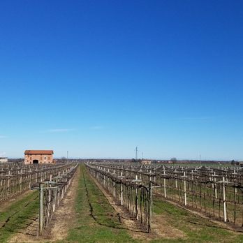 Chiarli 1860 - Beer, Wine & Spirits Near Me - Modena, Missouri