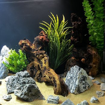 360 Aquatic - Local Fish Stores Near Me - Houston, Texas