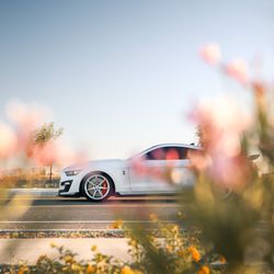 Premier Auto Spa - Protect your paint with Ceramic Coating in San Tan Valley